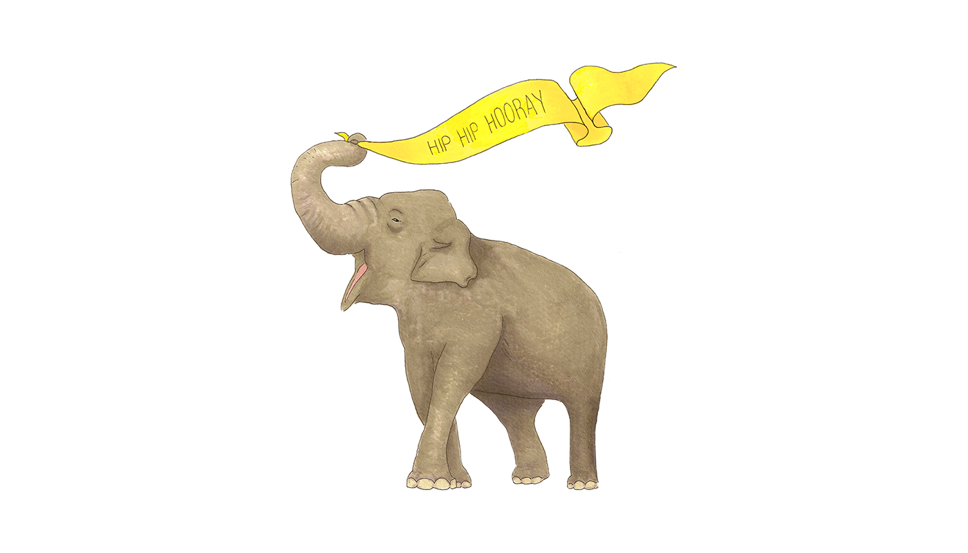 Jessica negus elephant illustration